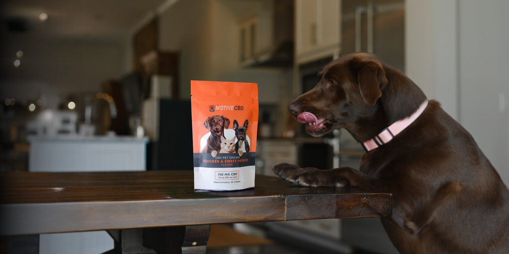 Help your furry friend feel great.